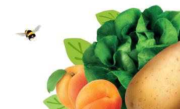 Grow Your Own Produce