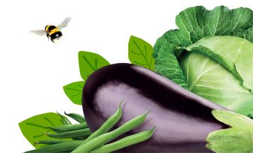 Grow your own
