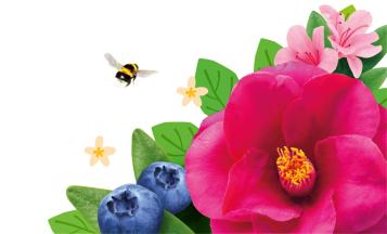 Conseils et faits divers sur le jardinage
