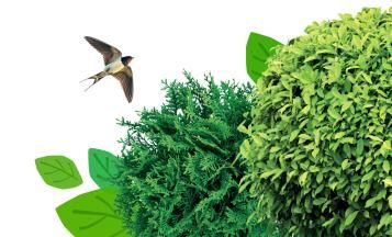 lovethegarden | Substral Planter