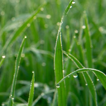 KB® Herbatak super imperméable à la pluie après 3 heures