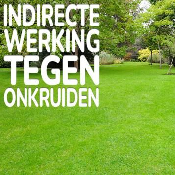 Substral Gazonmest All-In-One indirecte werking tegen onkruiden