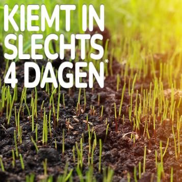 Substral Patch Magic® kiemt in slechts 4 dagen