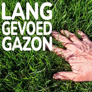 Substral Biofert gazonmeststof zorgt voor 3 maanden voeding