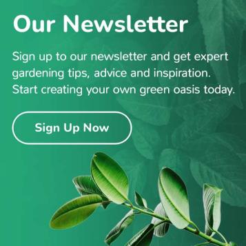 Love The Garden Newsletter sign up