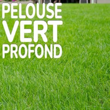 Substral Economic engrais assure une pelouse d'un vert profond