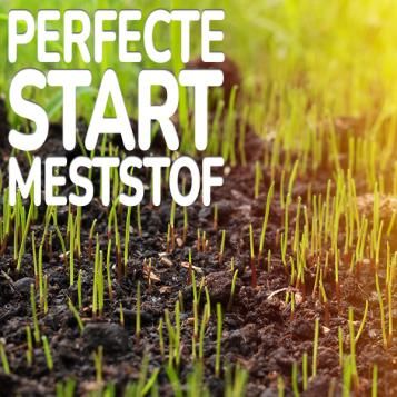 Substral triofert gazonmeststof perfecte start meststof