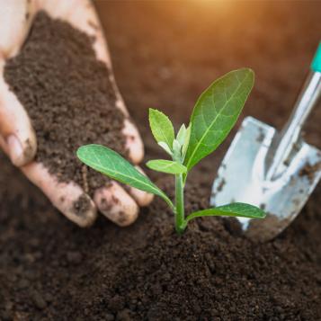 Substral® Potgrond Turfvrij planten in volle grond