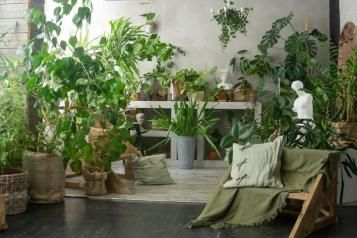 Comment arroser ses plantes quand on est en vacances ?