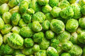 Image for Leitfaden für den Anbau und die Pflege von Rosenkohl