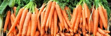 Image for Carrot