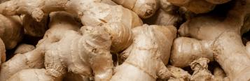 Image for Ginger