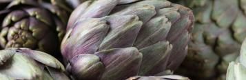 Image for Globe artichokes