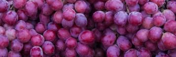 Image for Grapes