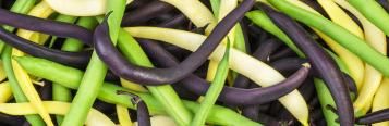 Image for Beans