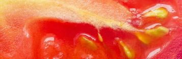 Image for Tomatoes