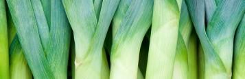 Image for Leeks