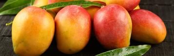 Image for Mango