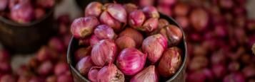Image for Shallots