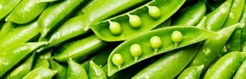 Image for Snow Peas 