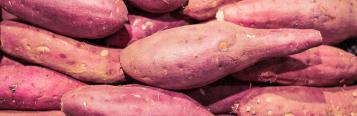 Image for Sweet Potato