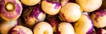Image for Turnip 