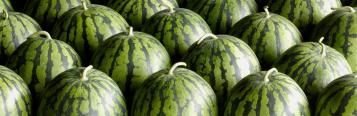 Image for Watermelon