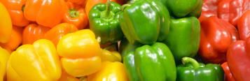 Image for Capsicum