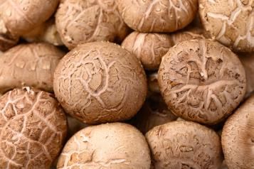 Image for Mushrooms