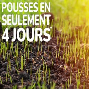 Substral Patch Magic® pousses en seulement 4 jours