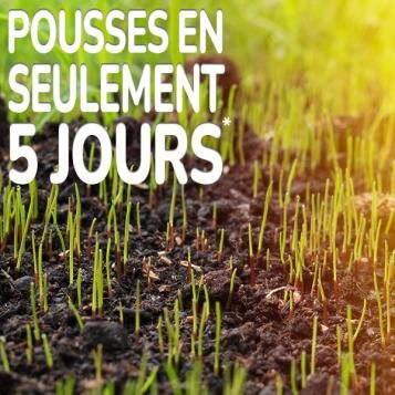 Substral Sport & Jeux semences gazon Germination en seulement 5 jours