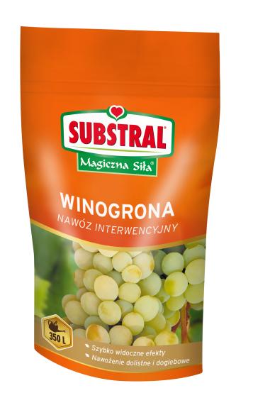 1328101_Winogrona.png