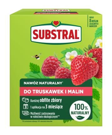 1382101_SUB-TERRA-Strawberries-&-raspberries-650G.png