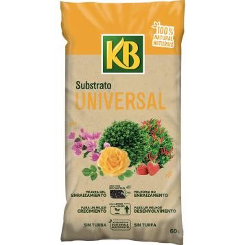 6002_KB_PS.png