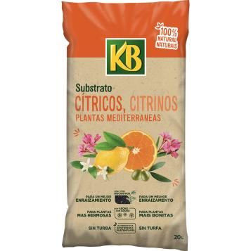 6006_KB_PS.png