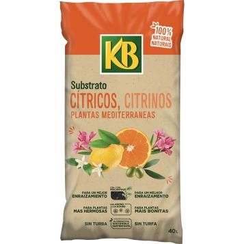 6007_KB_PS.png