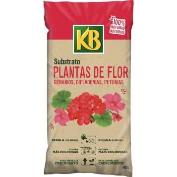 6011_KB_PS.png