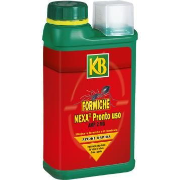6029_KB_PL.png