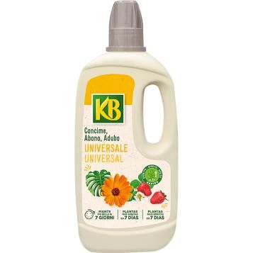 6089_UNI_KB_PS.png