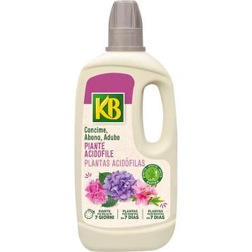 6091_KB_PS.png
