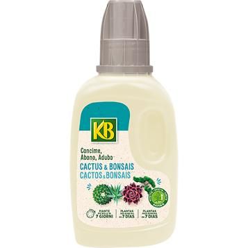 6095_CACTUS_KB_PS.png