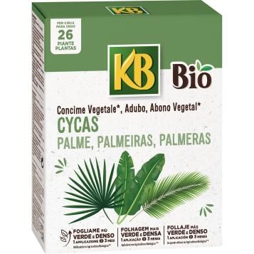 6130_SE_KB_PS_Cycas_Palme_650g.png