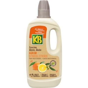 6543_KB_PS.png