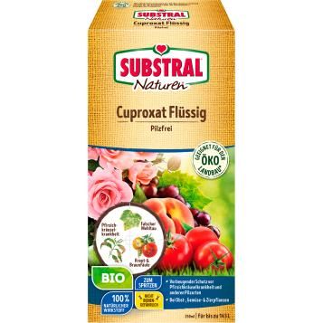 AT_20137_SUBNAT_PS.png