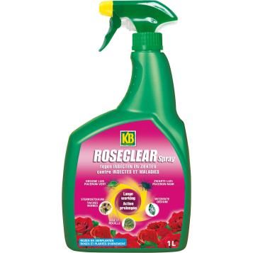 BE_ROSC100_KB_PS.png