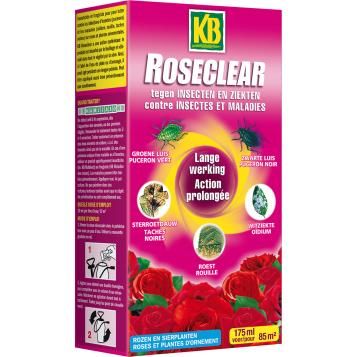 BE_ROSC017_KB_PS.png