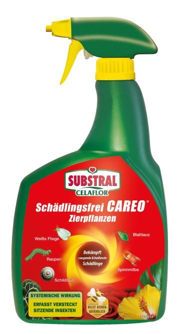 66304_SBCF_CAREO_Zierpflanzen_800ml_DE_4062700466308.png