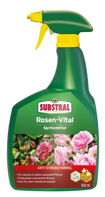 3D_66830_SB_Rosen_Vital_Careo_Eco_Spray_1l_4062700866832.png