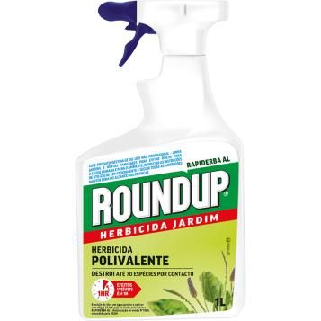 PTRUPA1N_RUP_PS.png