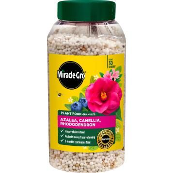 miracle-gro-azalea-camellia-rhododendron-continuous-release-900g-121065-2026.png